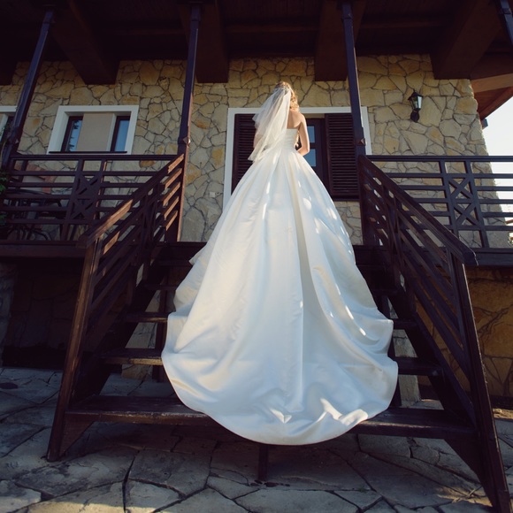 Pronovias Dalamo wedding dress - Picture 4 of 7